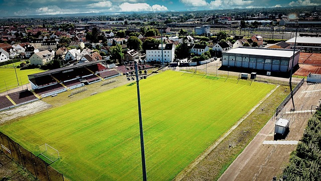 为国家的繁 为国家的繁