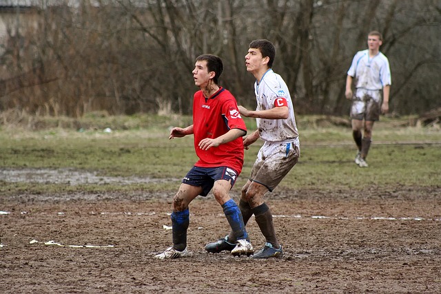 到廣泛喜愛 到廣泛喜愛