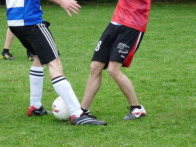 了更公平的 了更公平的