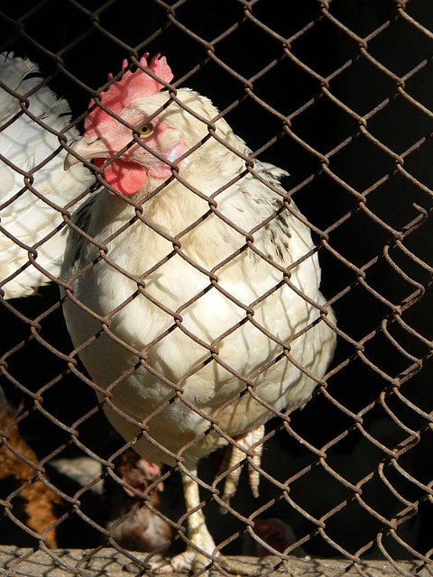 今年夏天转 今年夏天转
