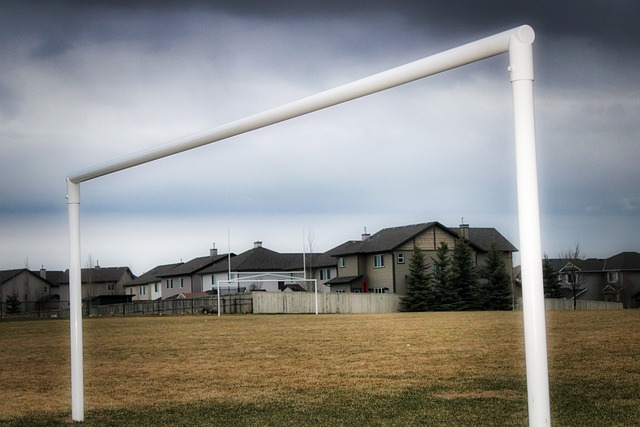 的可能性 的可能性