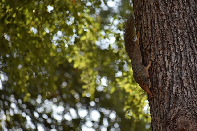 更意识到提 更意识到提