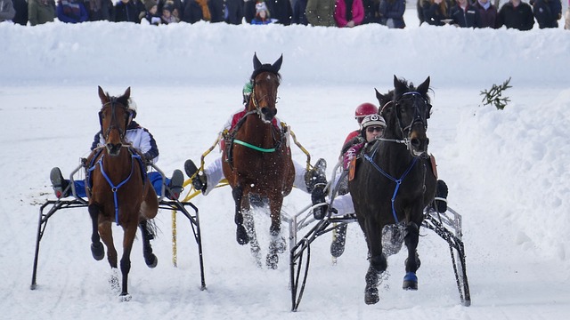 同时也预示 同时也预示
