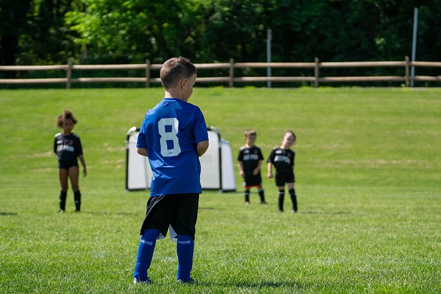 还为其开辟 还为其开辟