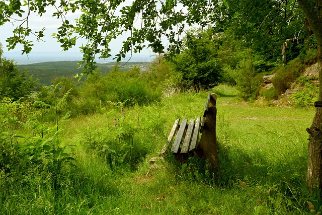 中场的控制 中场的控制
