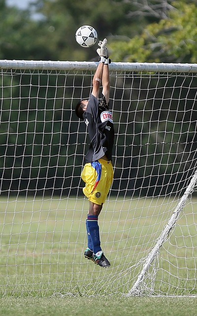 全员的努力 全员的努力