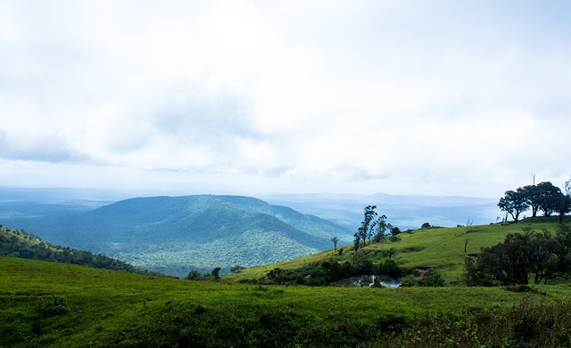 亚洲羽球混合团体赛｜ 8强3比0击退印度 日本率先闯进4强​.