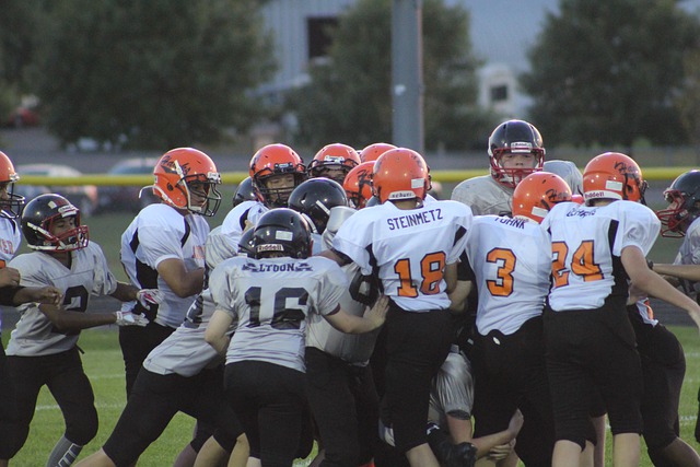 歐洲杯C組第3輪北馬其頓0-3荷蘭 德佩傳射維納爾杜姆梅開二度.