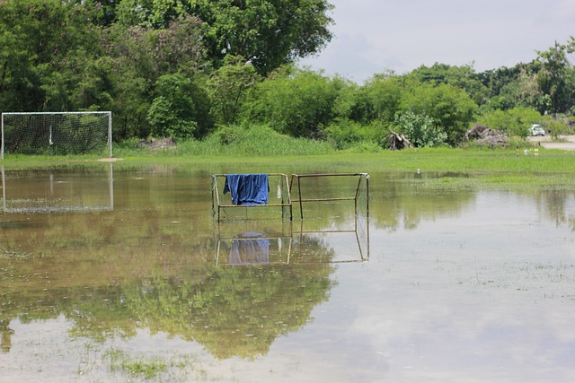 中超第3輪廣州城0-1山東泰山 費萊尼傷愈復出頭球破門.